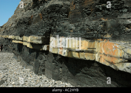 Forte strato di roccia in esecuzione attraverso scogliere a Kimmeridge Bay, Dorset, Inghilterra Foto Stock