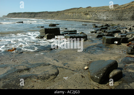 Blocchi di dolomite e scisti bituminosi a Kimmeridge Bay, Dorset, Inghilterra Foto Stock