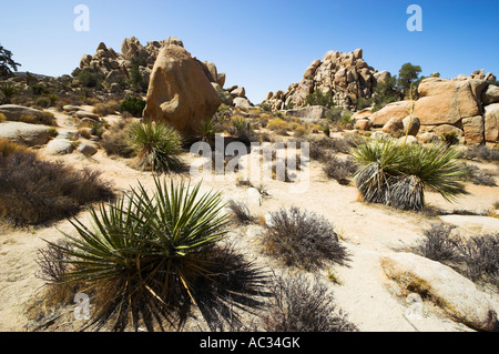 Hidden Valley paesaggio, Joshua Tree National Park, California, Stati Uniti d'America (Maggio 2007) Foto Stock