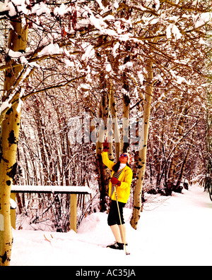 Brillantemente vestito cross country sciatore godendo la coperta di neve aspen alberi lungo il suo percorso Foto Stock