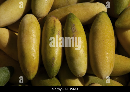 Banana frutto della passione, granadilla, Curuba, Banana poka (Passiflora mollissima), il mercato della frutta, Portogallo, Madera, Funchal Foto Stock