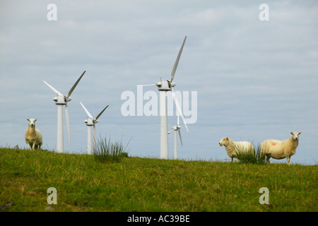 Le turbine eoliche e le pecore a Penrhyddlan e centrali eoliche Llidiartywaun Galles centrale Foto Stock