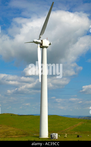 Le turbine eoliche a Penrhyddlan e centrali eoliche Llidiartywaun Galles centrale Foto Stock