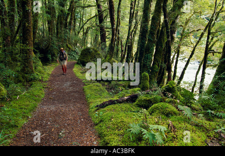 Milford Track, Parco Nazionale di Fiordland, South Island, in Nuova Zelanda, orizzontale Foto Stock