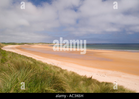 Vasta distesa di spiaggia in Northumberland Embleton Foto Stock