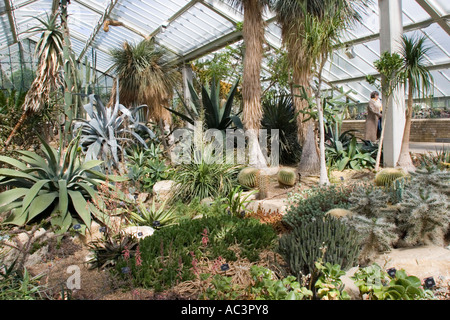 La principessa di Galles conservatorio in Royal Botanical Gardens di Kew Gardens Londra Inghilterra REGNO UNITO Foto Stock