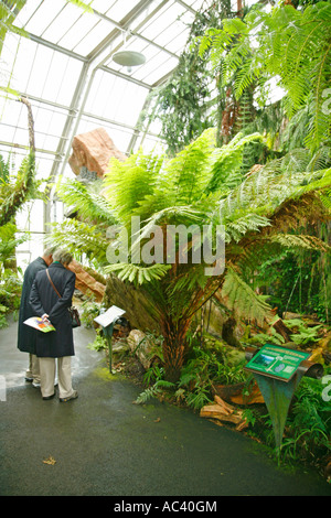 Royal Botanic Gardens di Kew Richmond Londra casa temperate Foto Stock