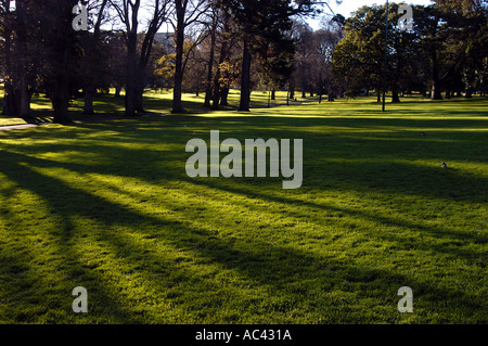 Sole nel tardo pomeriggio nei Giardini Fitzroy, Melbourne, Victoria, Australia. Foto Stock