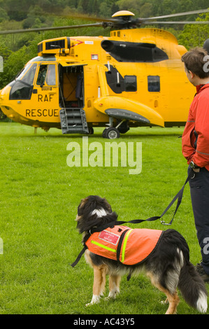 Una ricerca e salvataggio del cane elemento di associazione e RAF Sea King elicottero su una montagna missione di salvataggio, Ambleside, Lake District, Foto Stock