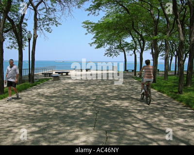 Chicago Parco Oliva Foto Stock