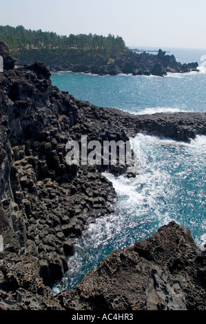 Jusangjeolli pilastri di pietra sulla costa dell'isola di Jeju in Corea del Sud. Foto Stock