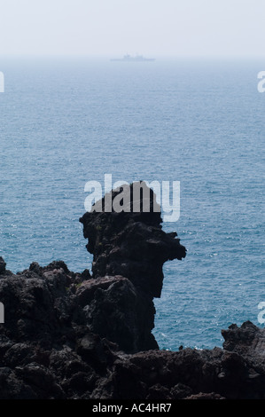 Jusangjeolli pilastri di pietra sulla costa dell'isola di Jeju in Corea del Sud. Foto Stock