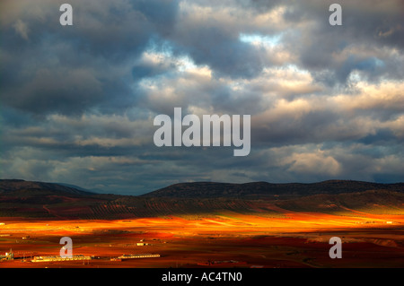 Alberi di olivo campi. Almonacid del Marquesado. Percorso di Don Chisciotte. Cuenca provincia. Castilla-La Mancha. Spagna Foto Stock