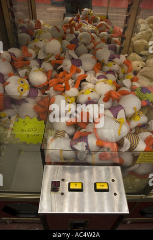 Peluche per essere vinto una delle sale giochi a Clacton Essex Foto Stock