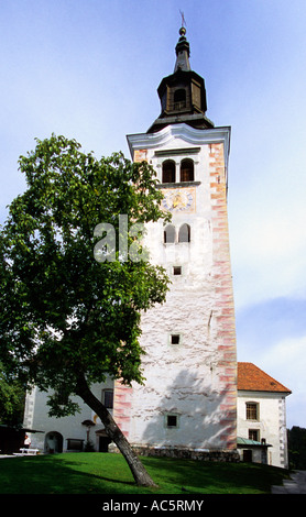 La Slovenia, Otok - lago di Bled . la vecchia torre campanaria della Basilica di Santa Maria Assunta la chiesa Foto Stock