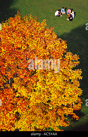 Gruppo di studenti seduti in erba sotto la caduta delle foglie 18 19 Anni 20 25 Anni autunno cadono College Campus studenti giorno erba Foto Stock