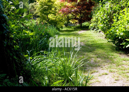 Banca del fiume Nadder presso la Abbey House Gardens, Malmesbury, Wiltshire, Inghilterra, Regno Unito, Gran Bretagna Foto Stock