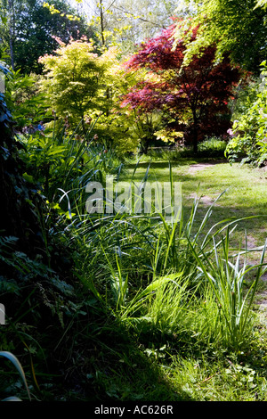 Banca del fiume Nadder presso la Abbey House Gardens, Malmesbury, Wiltshire, Inghilterra, Regno Unito, Gran Bretagna Foto Stock