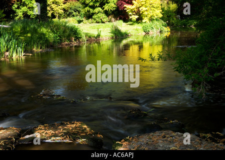 Il fiume Nadder presso la Abbey House Gardens, Malmesbury, Wiltshire, Inghilterra, Regno Unito Foto Stock