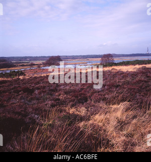 Vista sul porto di Poole di Wytch farm olio bene dalla brughiera a Studland Dorset Inghilterra Foto Stock