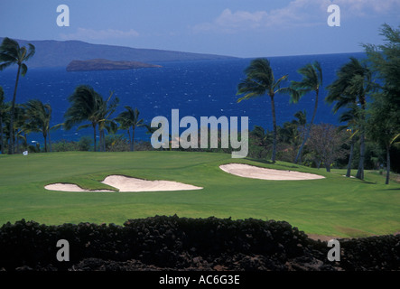 Golf, corso d'oro, oro campo da golf, Wailea Golf Club, Wailea, Maui, Hawaii, Stati Uniti Foto Stock