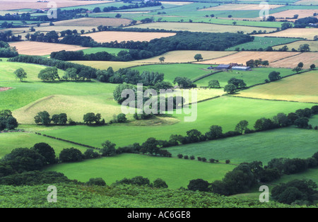 I campi di patchwork in estate antenna Foto Stock