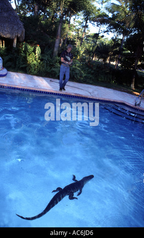 Alligatore con licenza catturatori in Florida alligatori si trovano in luoghi pubblici in tutto lo stato Foto Stock