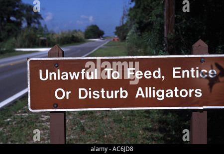 Alligatore con licenza catturatori in Florida alligatori si trovano in luoghi pubblici in tutto lo stato Foto Stock