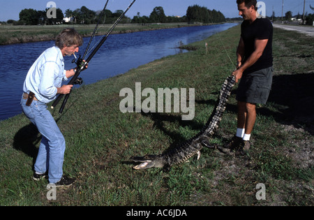 Alligatore con licenza catturatori in Florida alligatori si trovano in luoghi pubblici in tutto lo stato Foto Stock