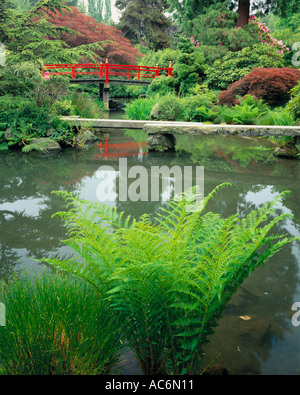 Seattle WA Kubota Garden City Park ponte rosso con riflessi di stagno Foto Stock