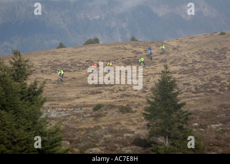 Gli amanti della mountain bike in italiano/Alpi austriache Foto Stock