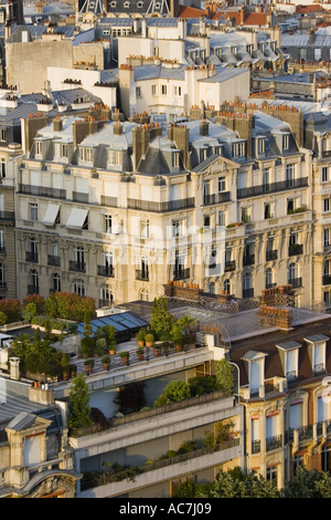 Tetti e giardini pensili vista dal primo livello del Ponte della Torre Eiffel Parigi Francia Foto Stock