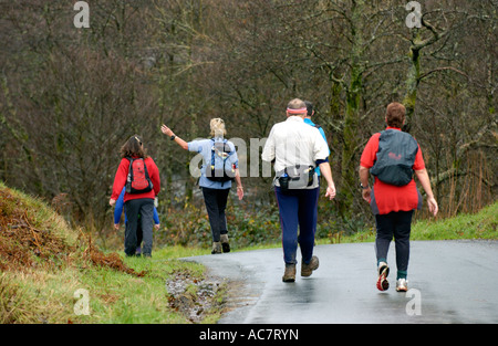 Gruppo di escursionisti sulla strada di campagna vicino a Llanwrtyd Wells Powys Wales UK prendendo parte al Real Ale Ramble walking festival Foto Stock