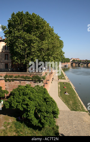 Quai de la Daurade, Toulouse, Francia Foto Stock