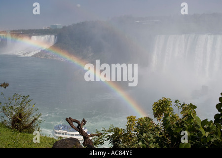 Cascate del Niagara, blu il ramo bush canada cliff giorno destinazione disco volante caduta getaway getaway verde prato verde la crescita Foto Stock