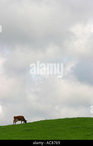 Cloudscape su campo Foto Stock