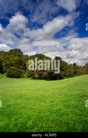 Paesaggistico parco città Harlow Essex REGNO UNITO Foto Stock