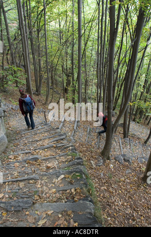 Giovane donna con zaino passeggiando per le fasi di percorso attraverso i boschi di castagno di Savogno, Sondrio, Italia Foto Stock