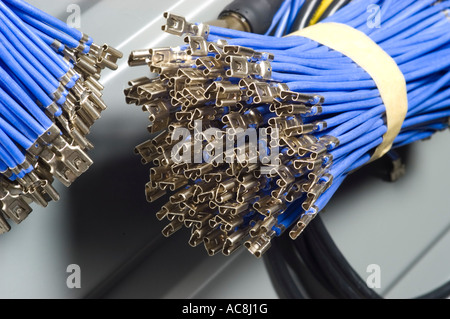 Fascio di fili con forcella femmina connettori collegati Foto Stock