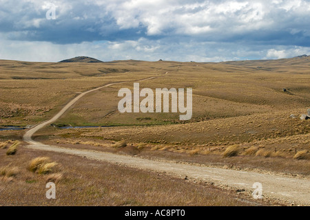 Il vecchio sentiero Dunstan vicino grande palude Moss Central Otago Isola del Sud della Nuova Zelanda Foto Stock