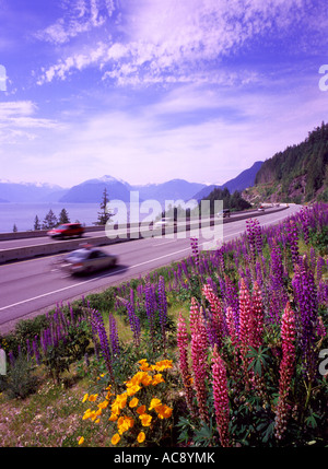 La Scenic 'Sea a cielo' Autostrada 99 avvolgimento da Vancouver a Whistler della Columbia britannica in Canada Foto Stock