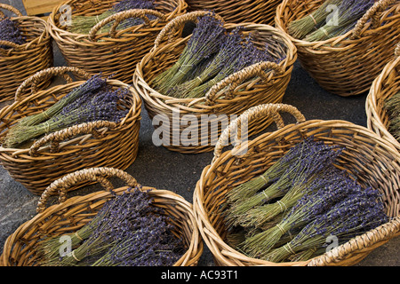 Lavanda (Lavandula angustifolia, Lavandula officinalis), cesti con mazzi, Francia Provenza Foto Stock