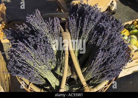 Lavanda (Lavandula angustifolia, Lavandula officinalis), mazzi di fiori in un cestello, Francia Provenza Foto Stock