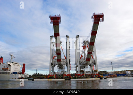 Industria di spedizione / due giganti di contenitore Gantry cranes,arrivate nel porto di Melbourne / Melbourne Victoria Australia. Foto Stock