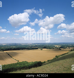 Downland panoramica di ripe colture di cereali principalmente grano al tempo del raccolto in una bella giornata estiva con cielo blu e fair weather Nuvole Foto Stock