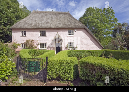 Rose Cottage In Cockington nel Devon in Inghilterra Foto Stock