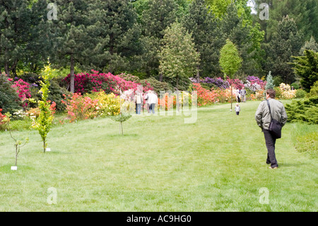 Persone che camminano su un prato verde in un parco lussureggiante con azalea fiorente o cespugli di rododendro e alti alberi sempreverdi sullo sfondo. Foto Stock