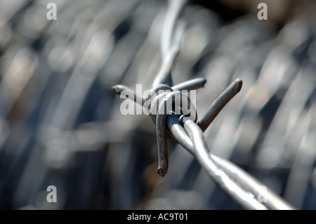 In prossimità di una bobina di filo spinato Foto Stock