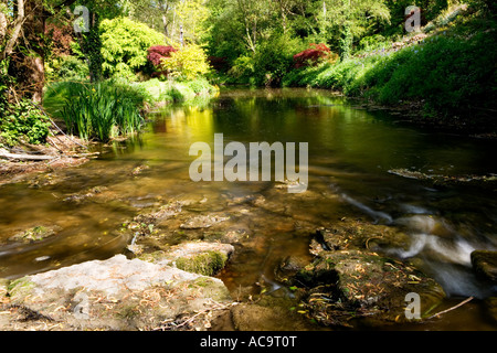 Il fiume Nadder presso la Abbey House Gardens, Malmesbury, Wiltshire, Inghilterra, Regno Unito Foto Stock