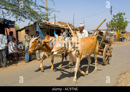 Un agricoltore Maharashtrian con il suo dipinto Sahiwal tori (bos indicus) tirando il suo carrello attraverso un villaggio. Foto Stock